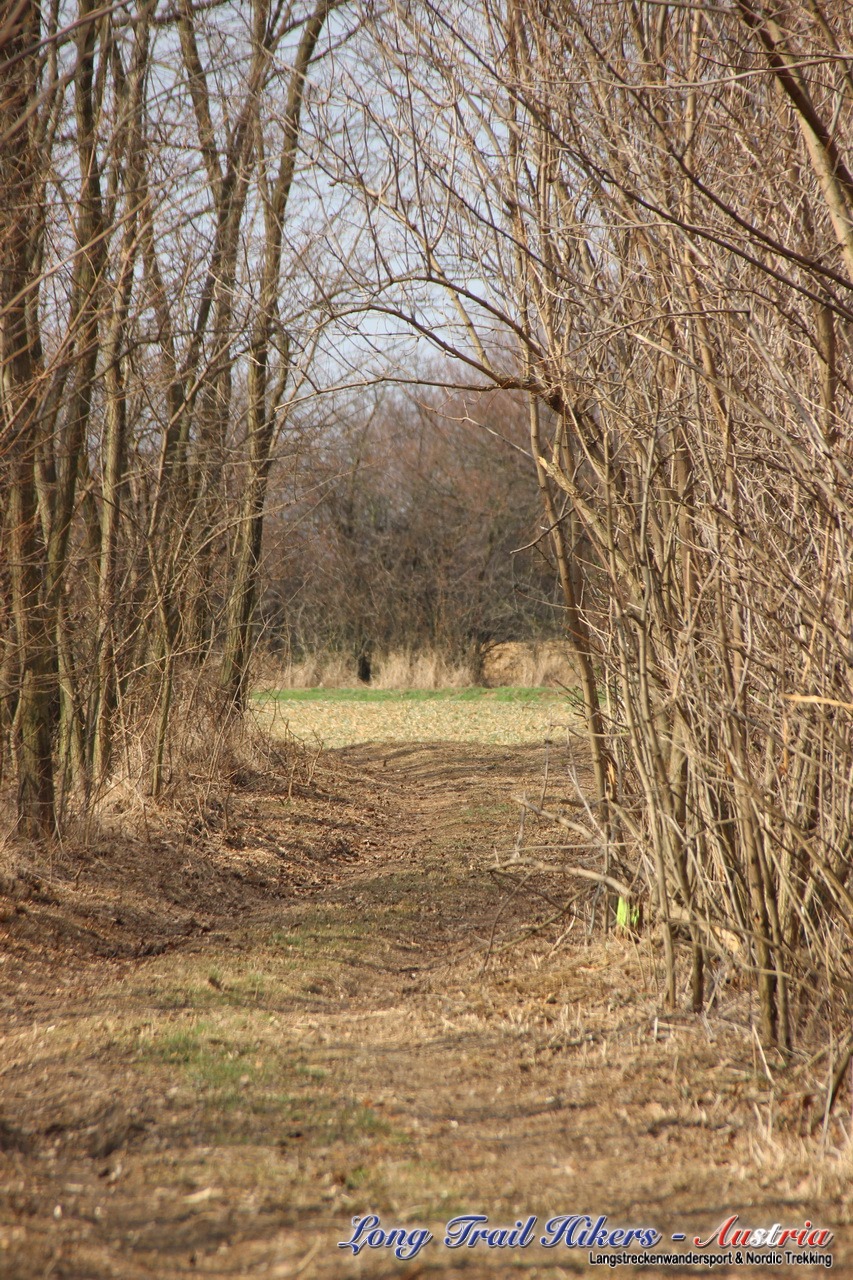img_7445-kopie