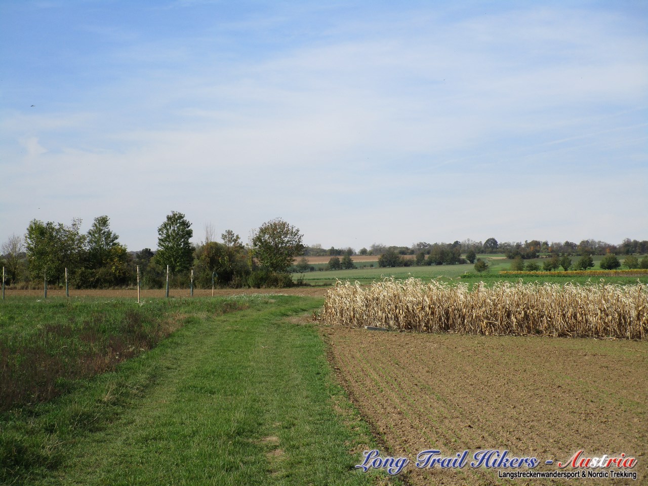 img_0091