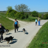 dscn5444-kopie