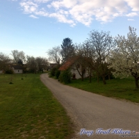 dsc00522