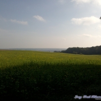 dsc00757