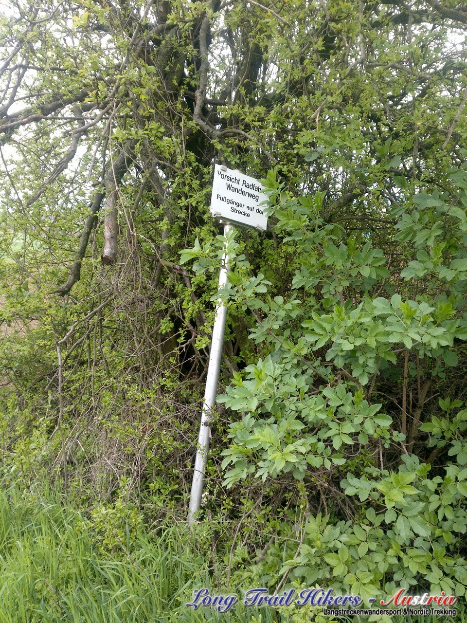 DSC00510