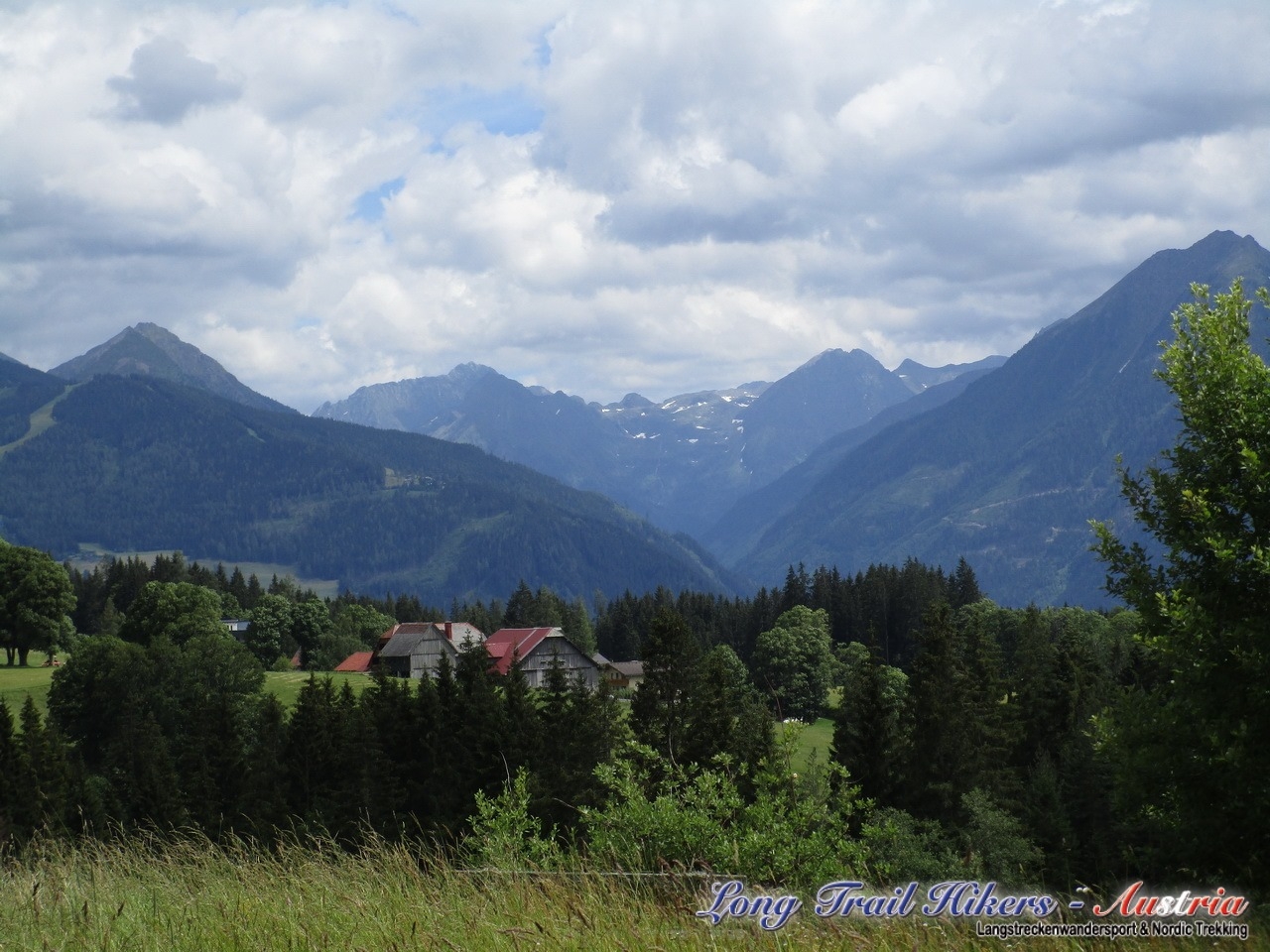 IMG_1368