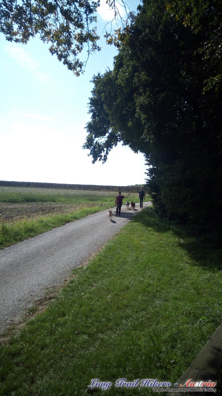 IMG_20180908_110807 (Kopie)