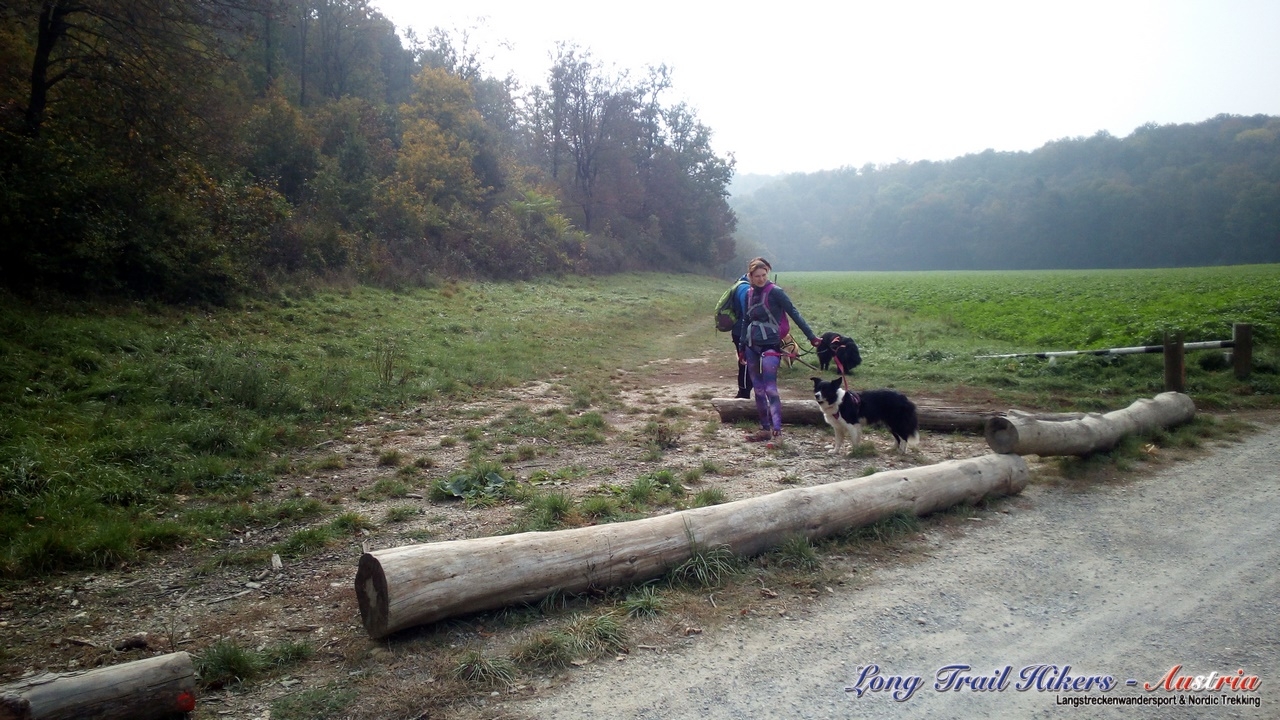 IMG_20181020_114647 (Kopie)