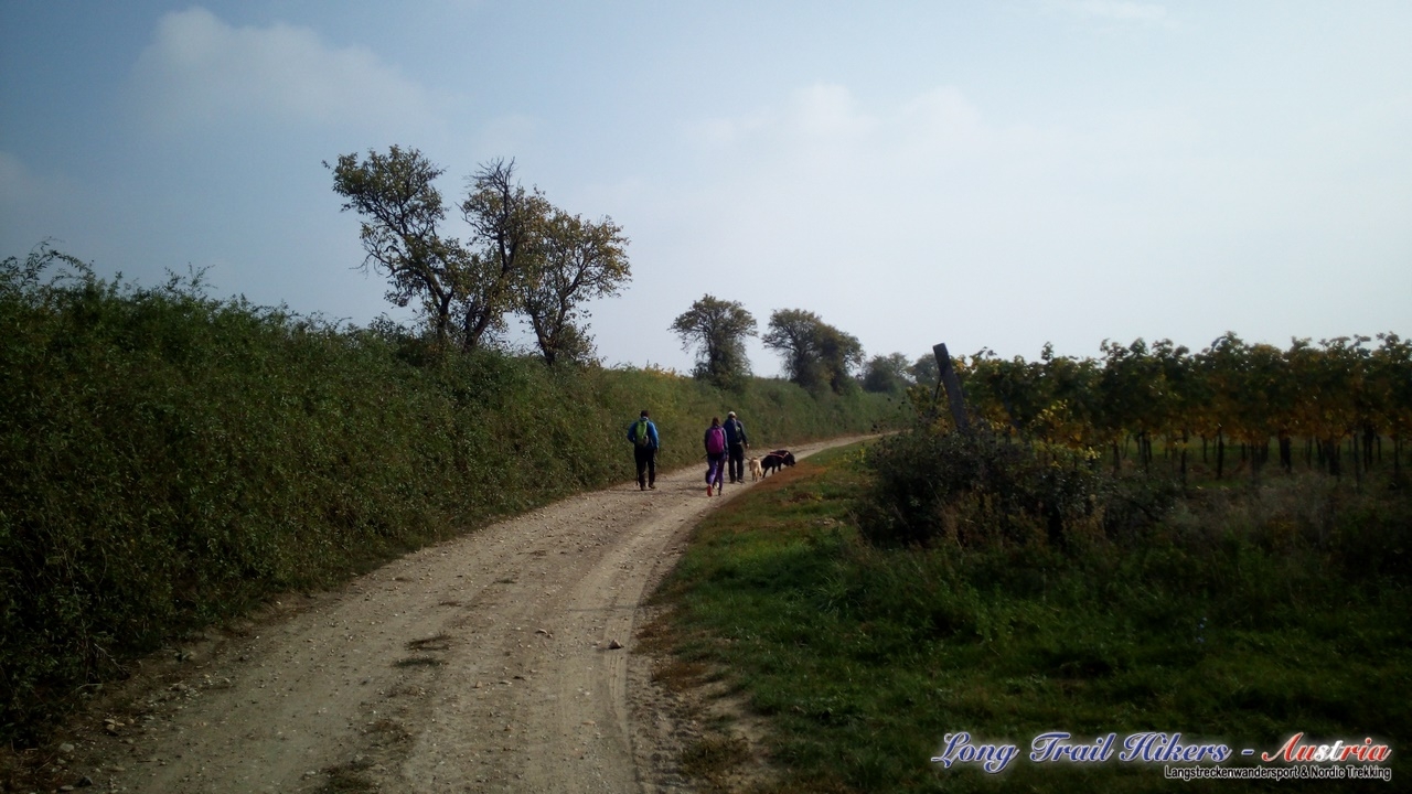 IMG_20181020_124035 (Kopie)